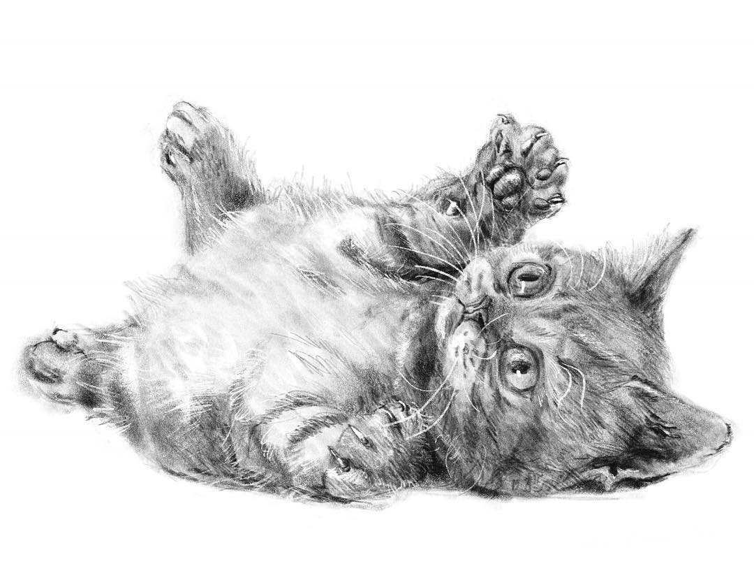 Sketch 02