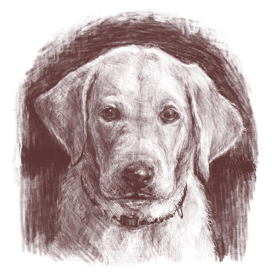 Sketch 05