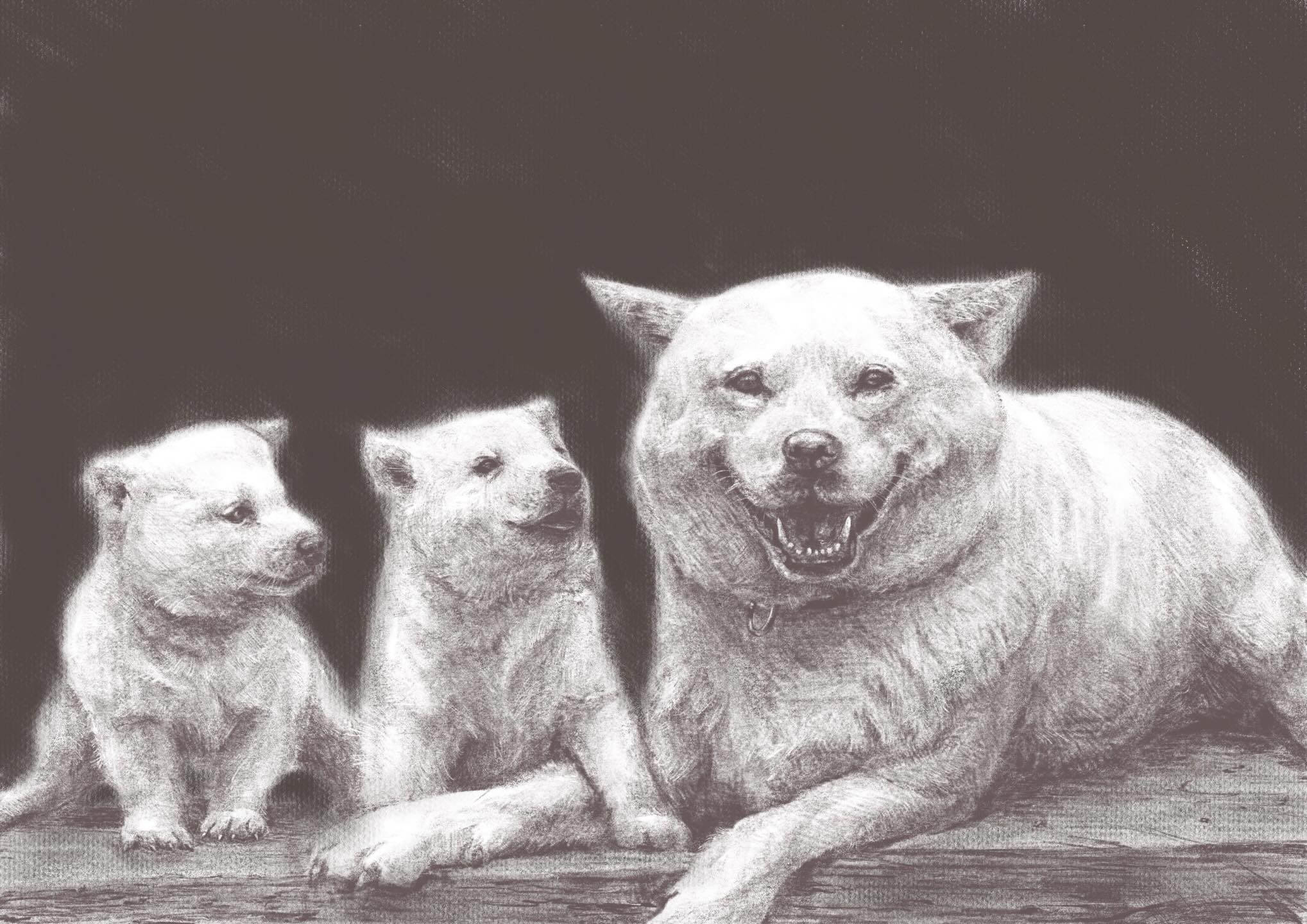 Sketch 06