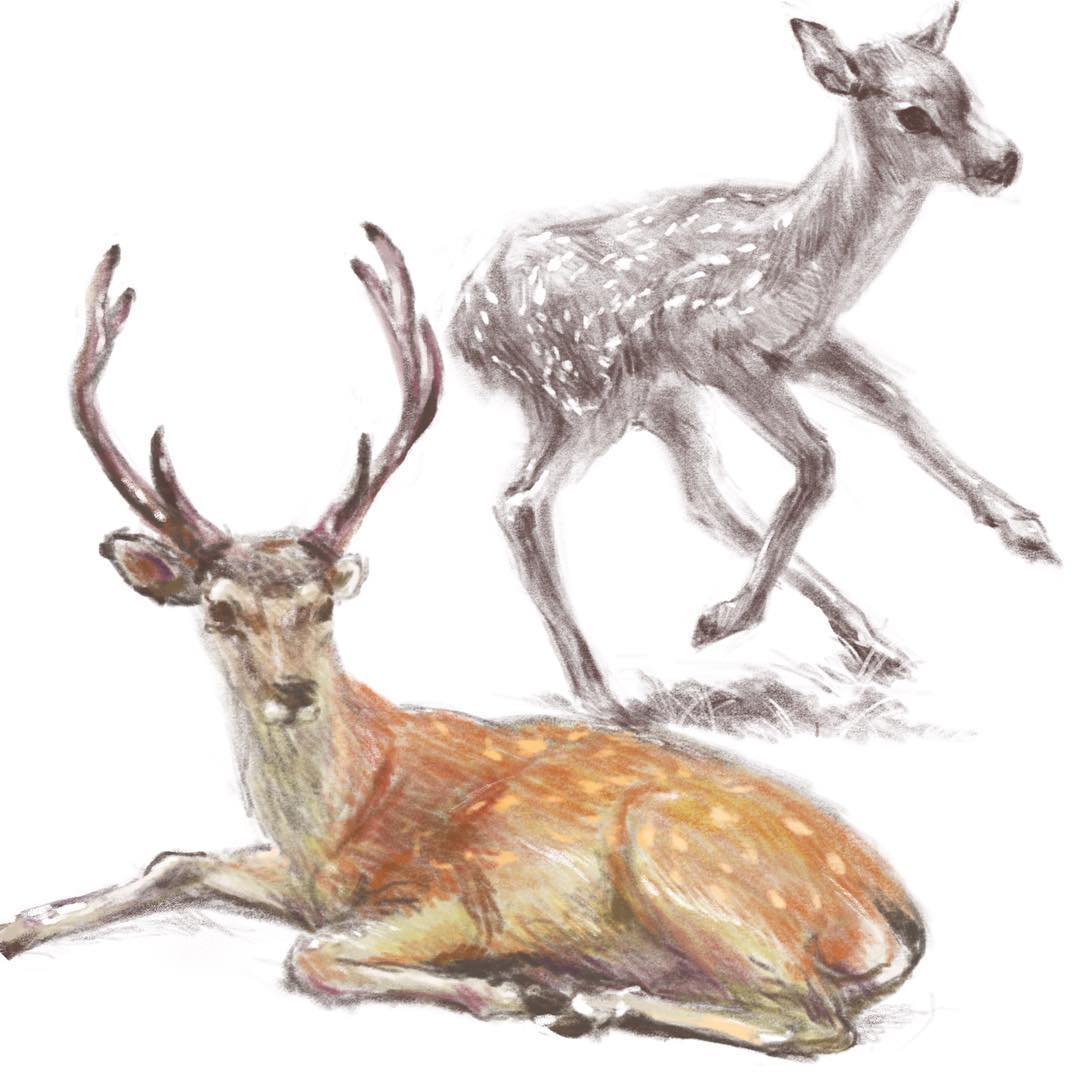 Sketch 08