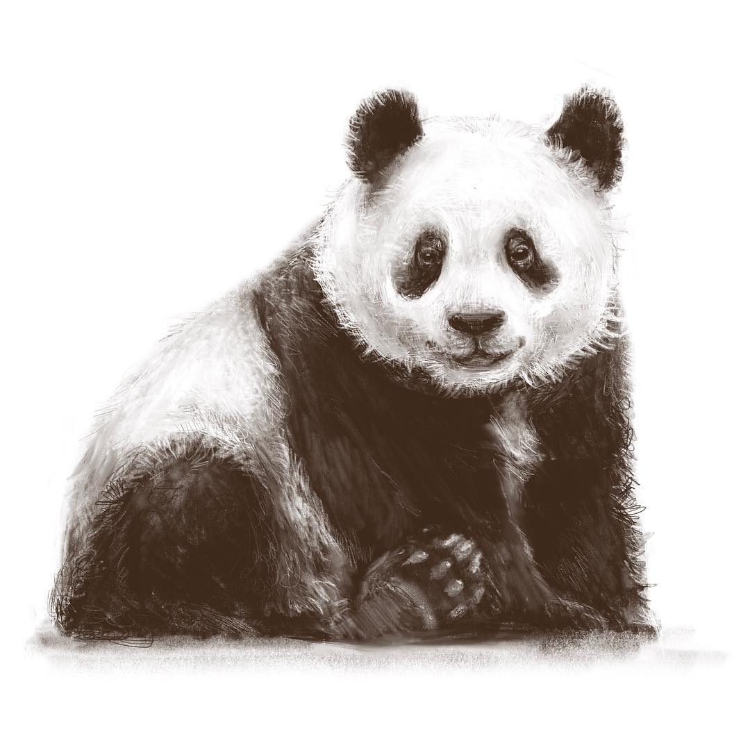 Sketch 09