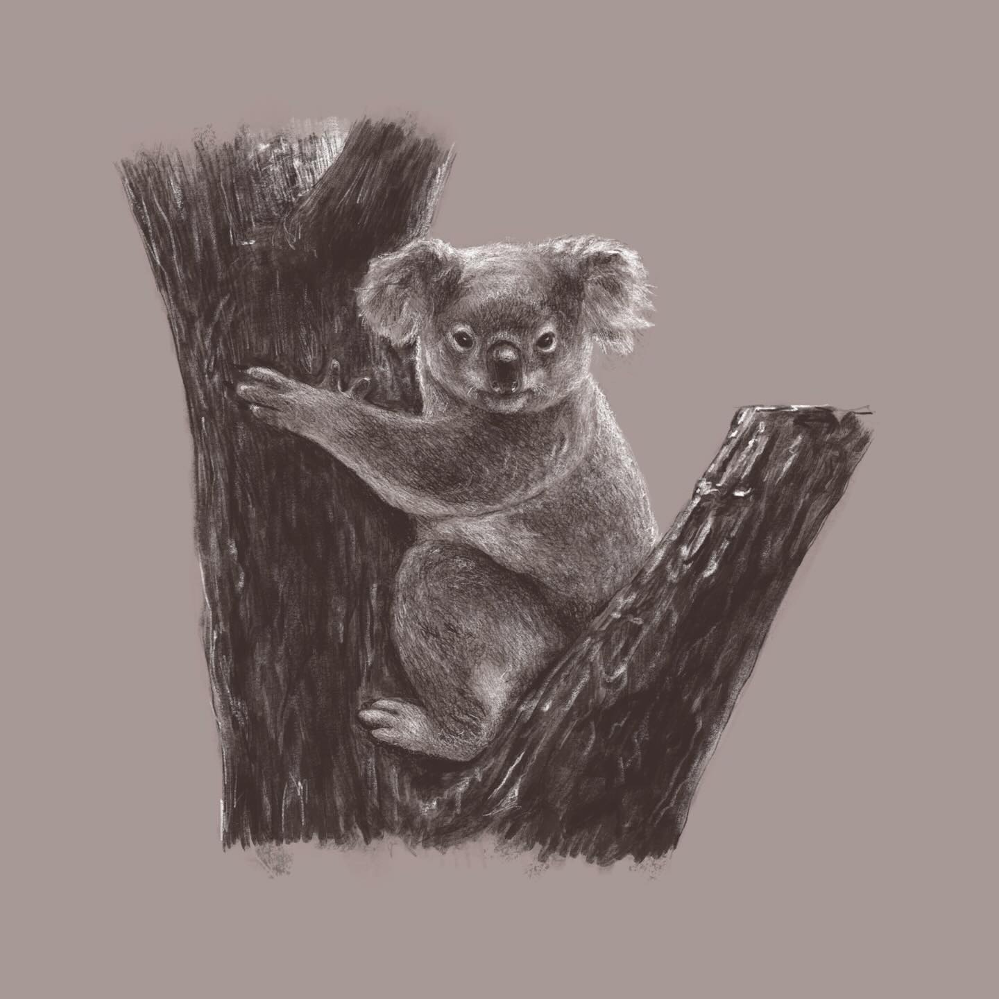 Sketch 10