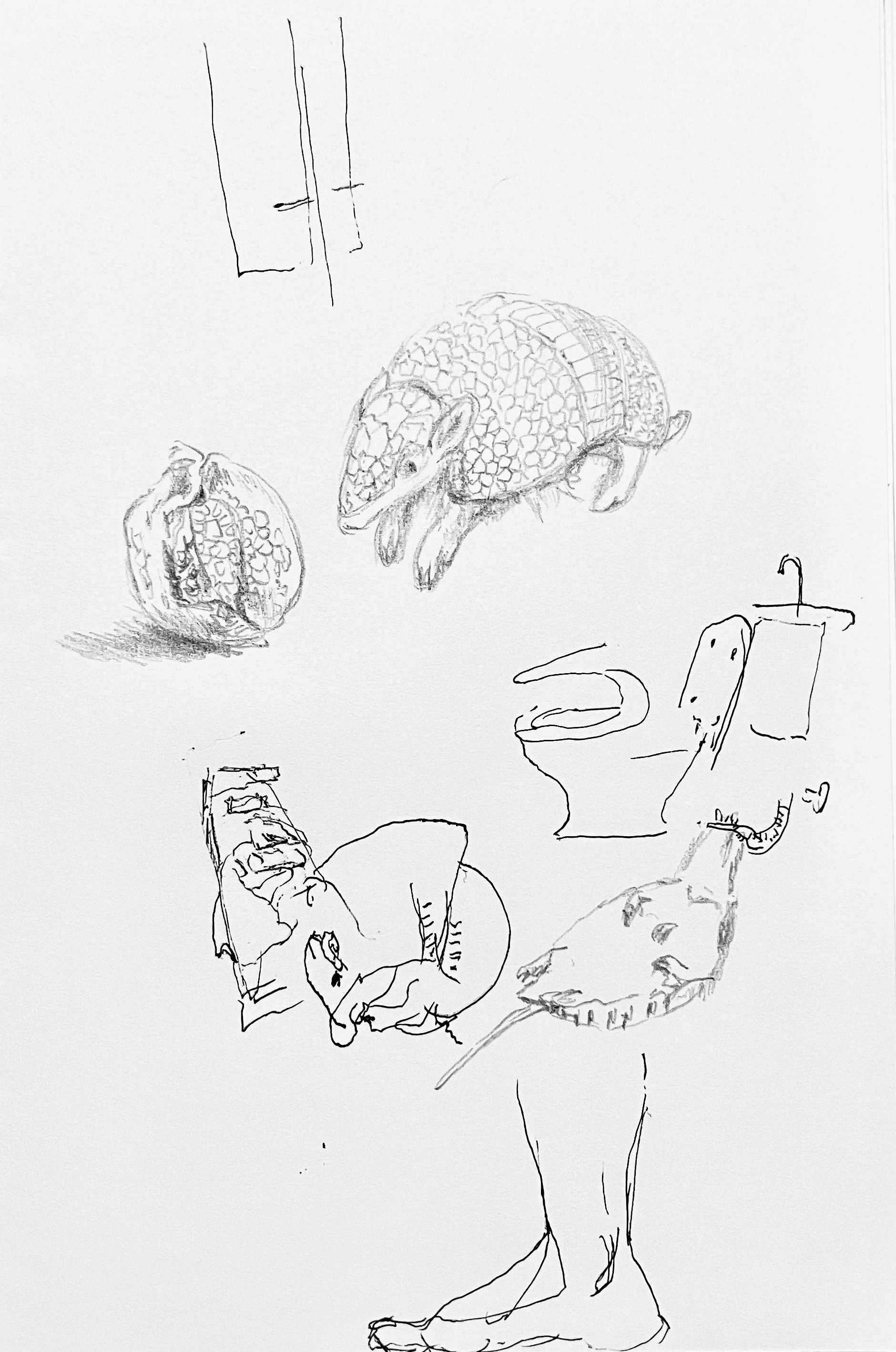 Drawing No.11