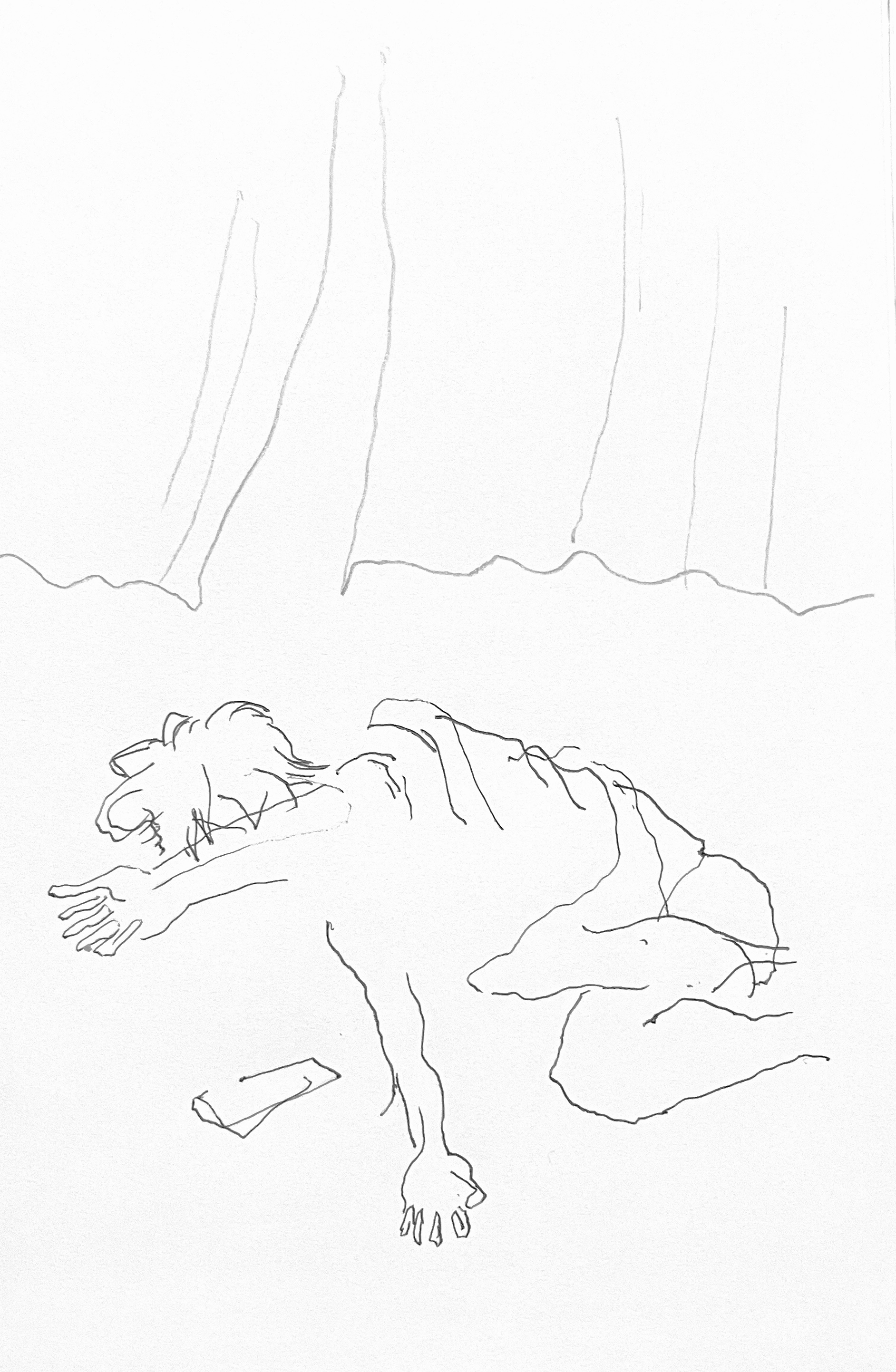 Drawing No.12