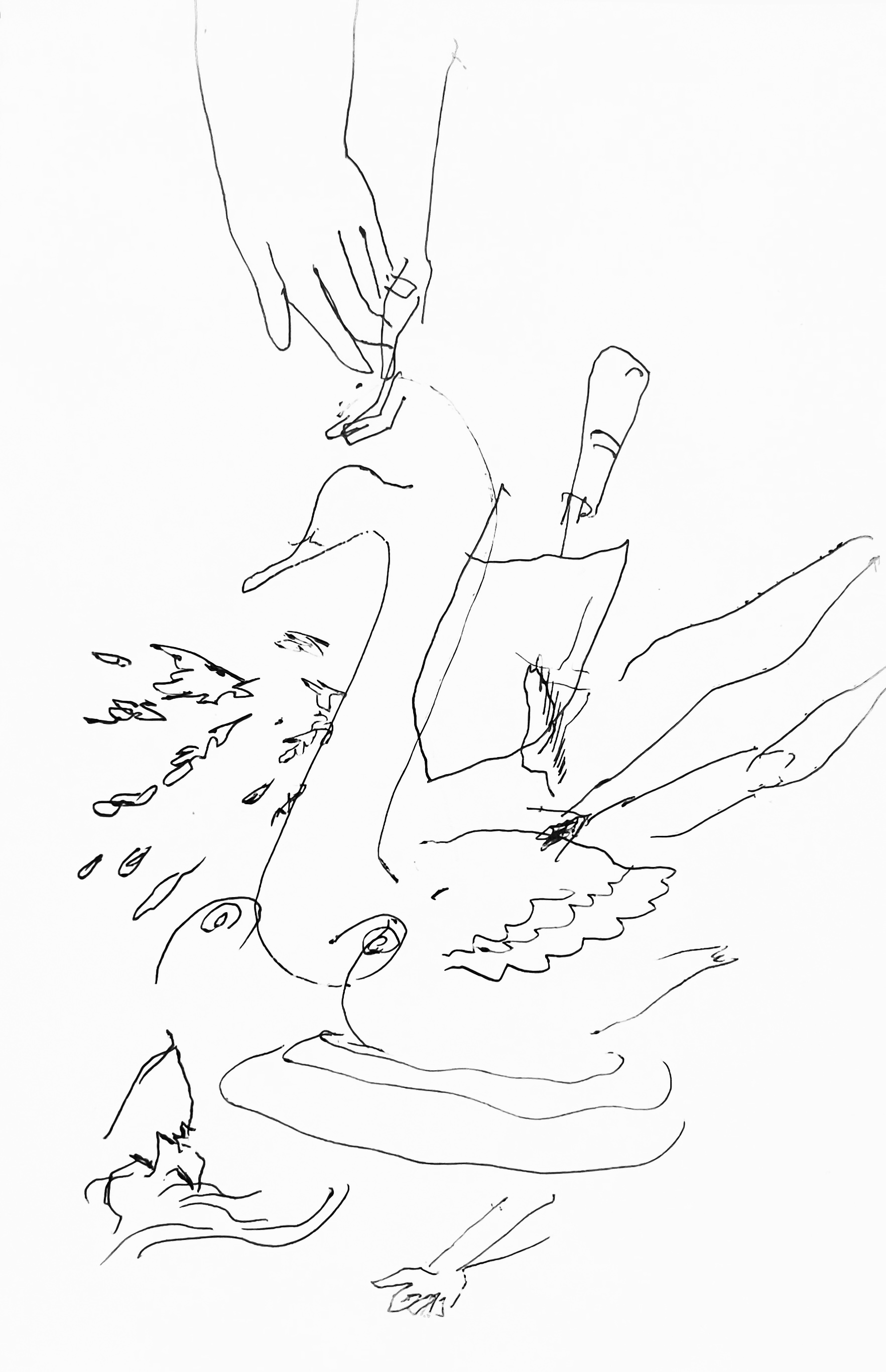 Drawing No.20