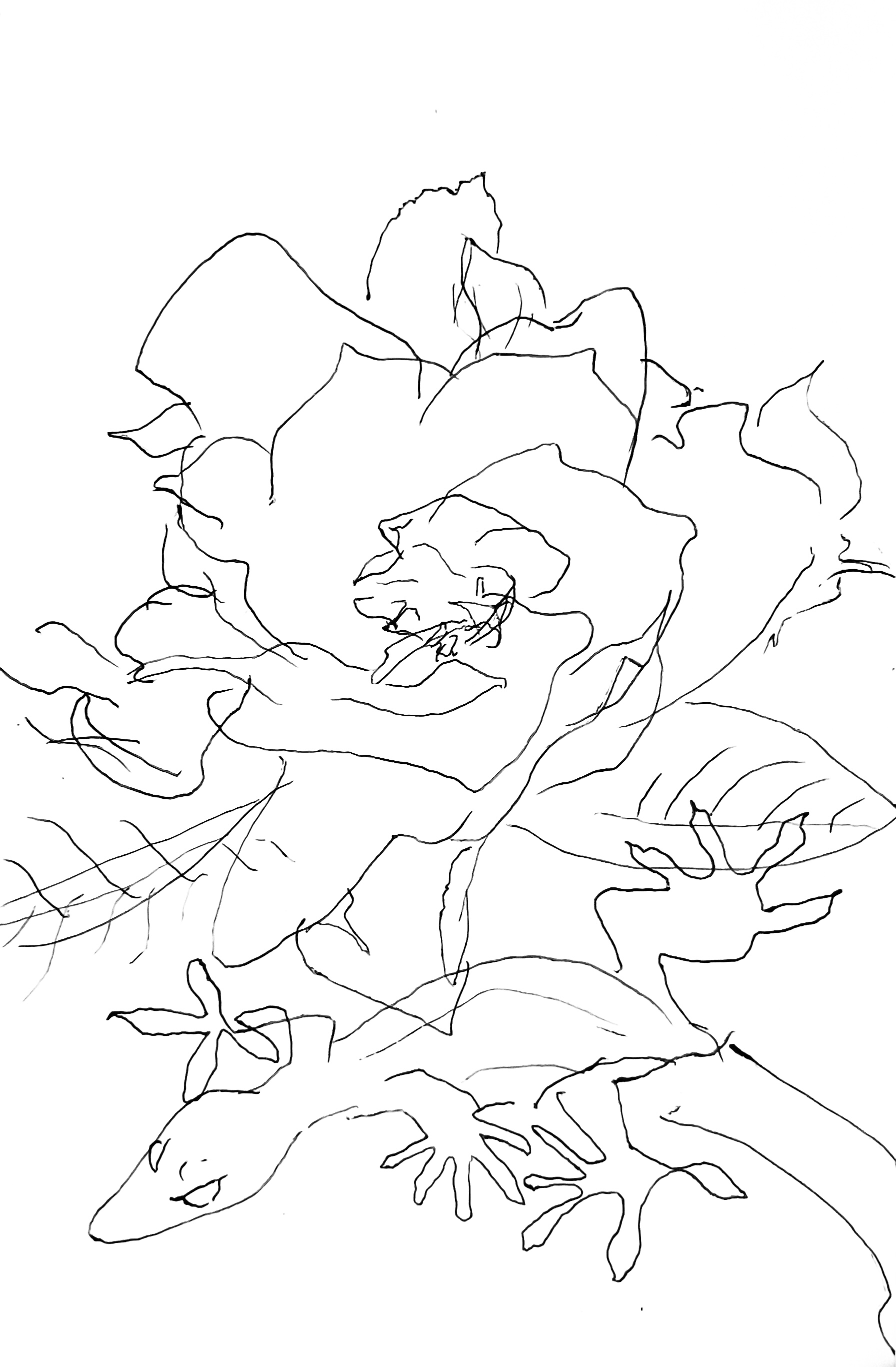 Drawing No.21
